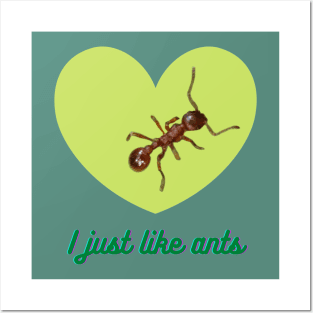 I just like ants Posters and Art